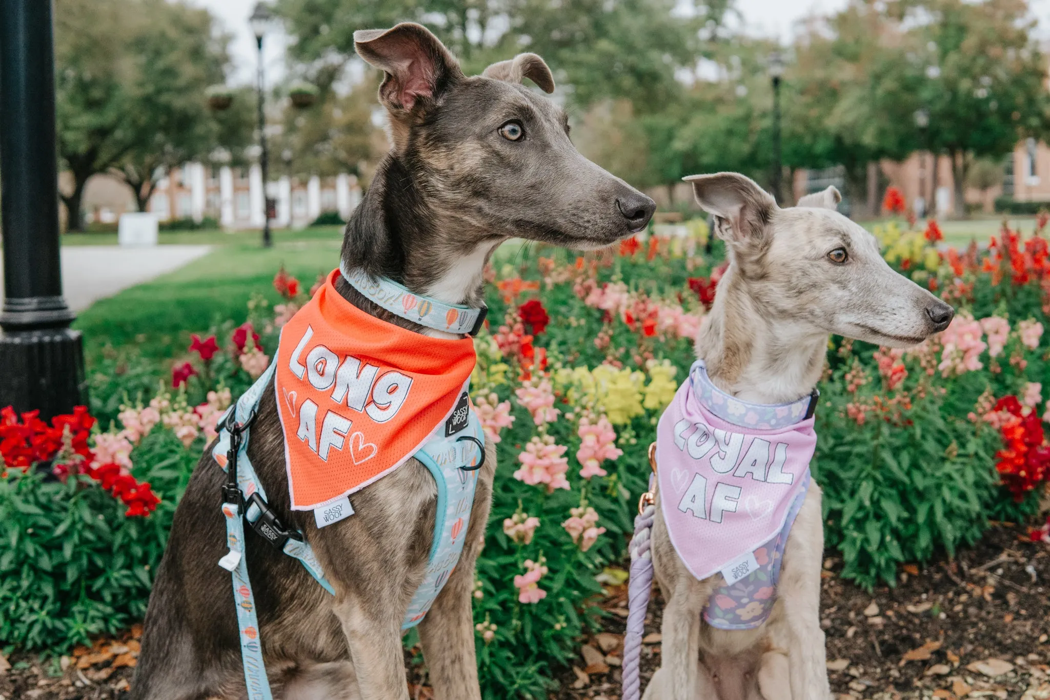 Dog Bandana - Long AF