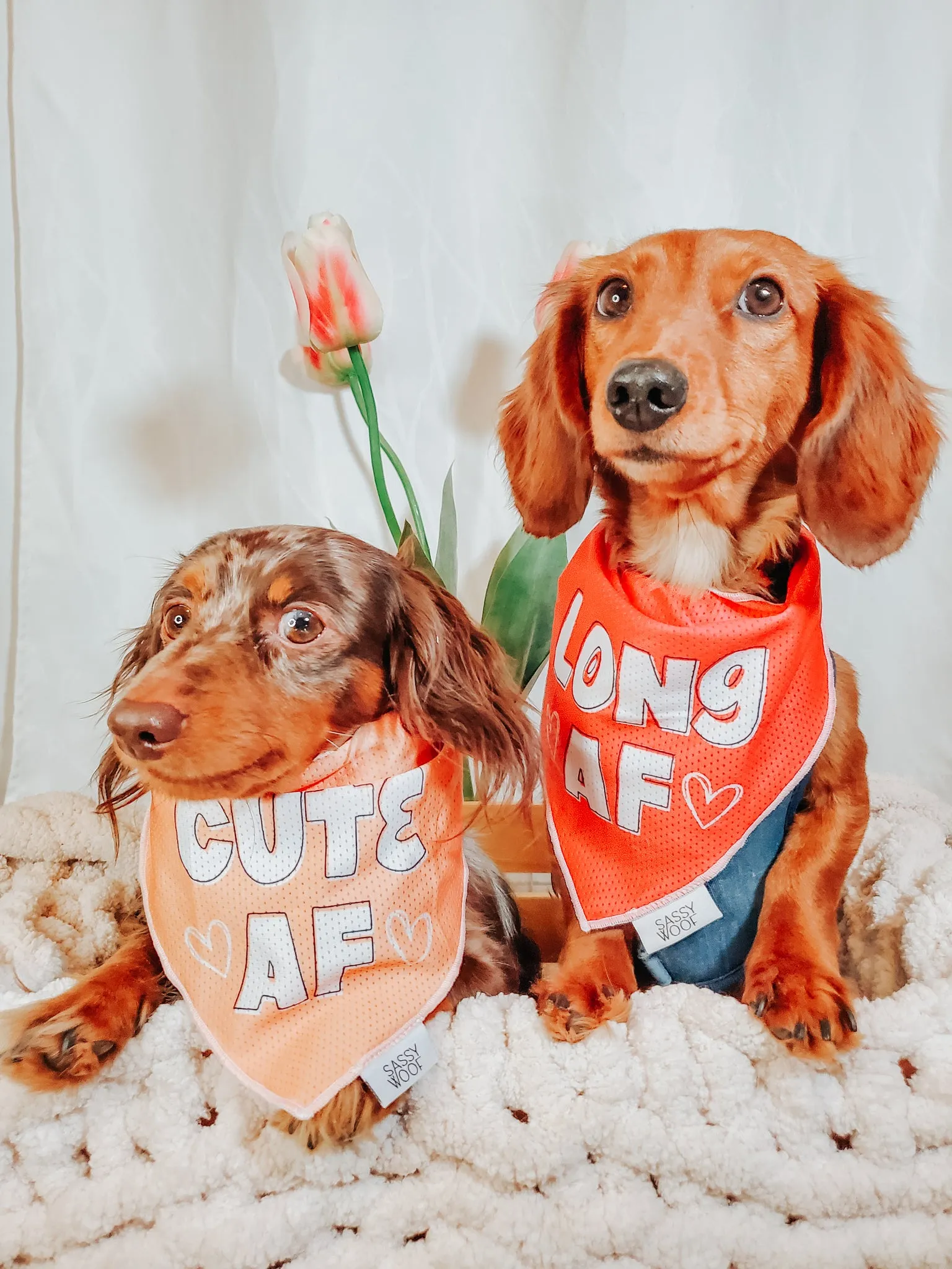 Dog Bandana - Long AF