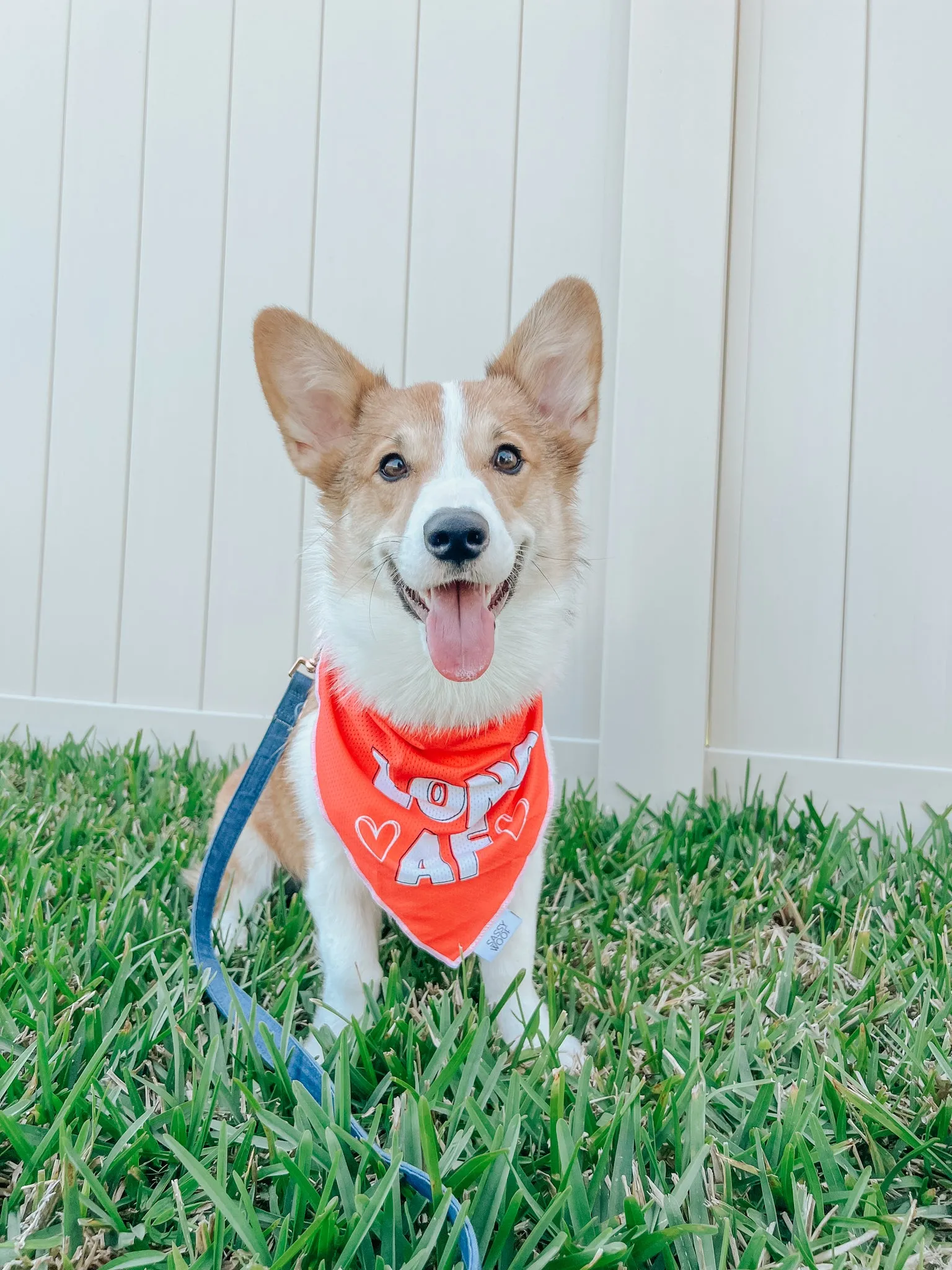 Dog Bandana - Long AF