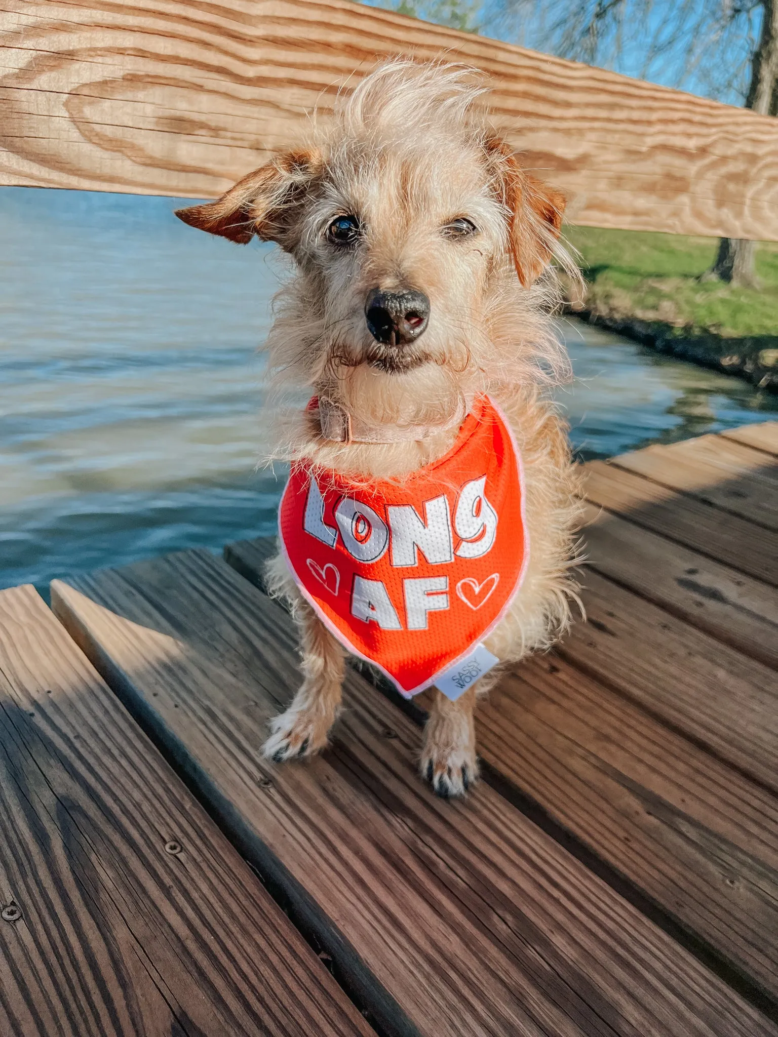 Dog Bandana - Long AF