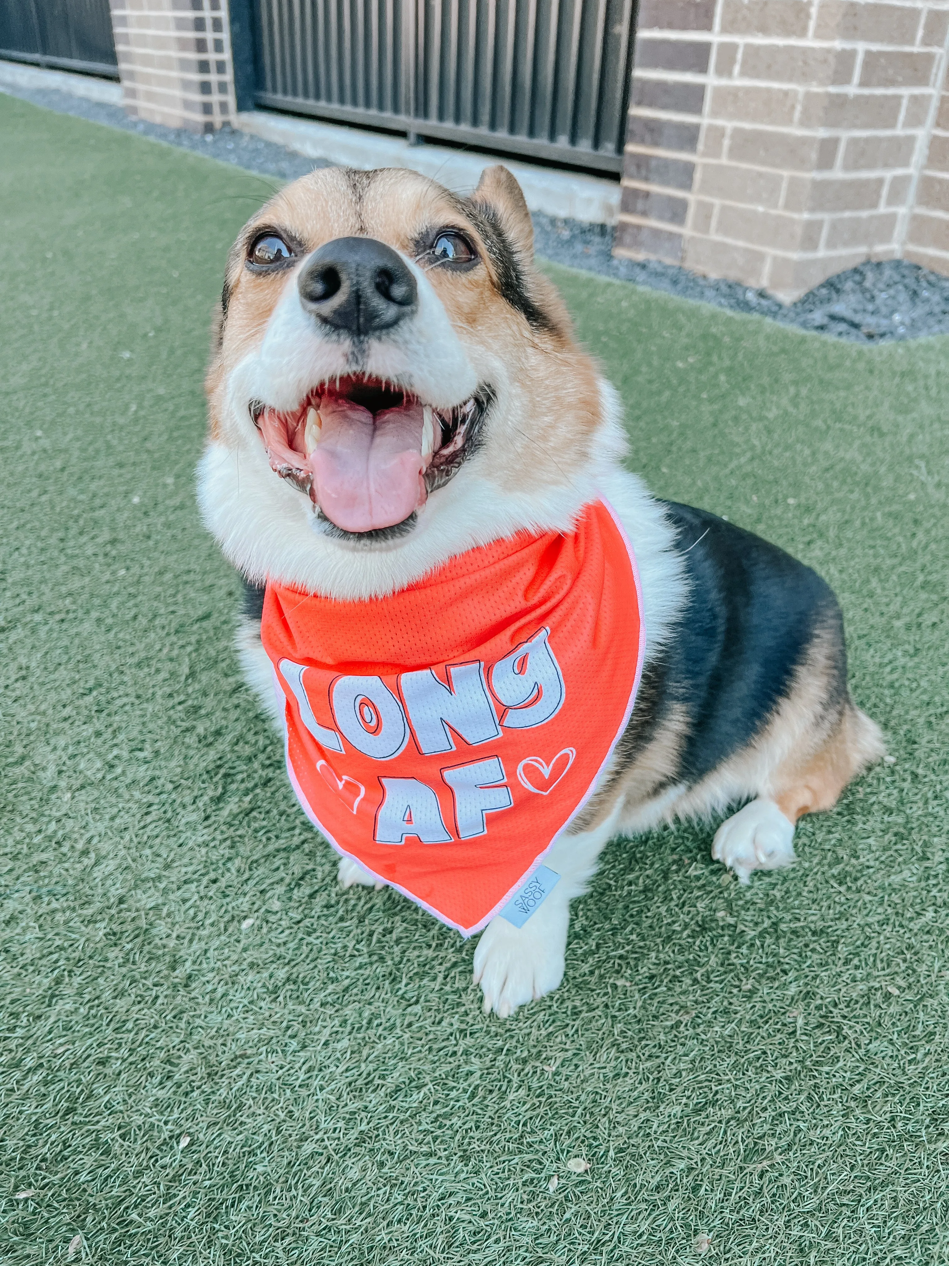 Dog Bandana - Long AF