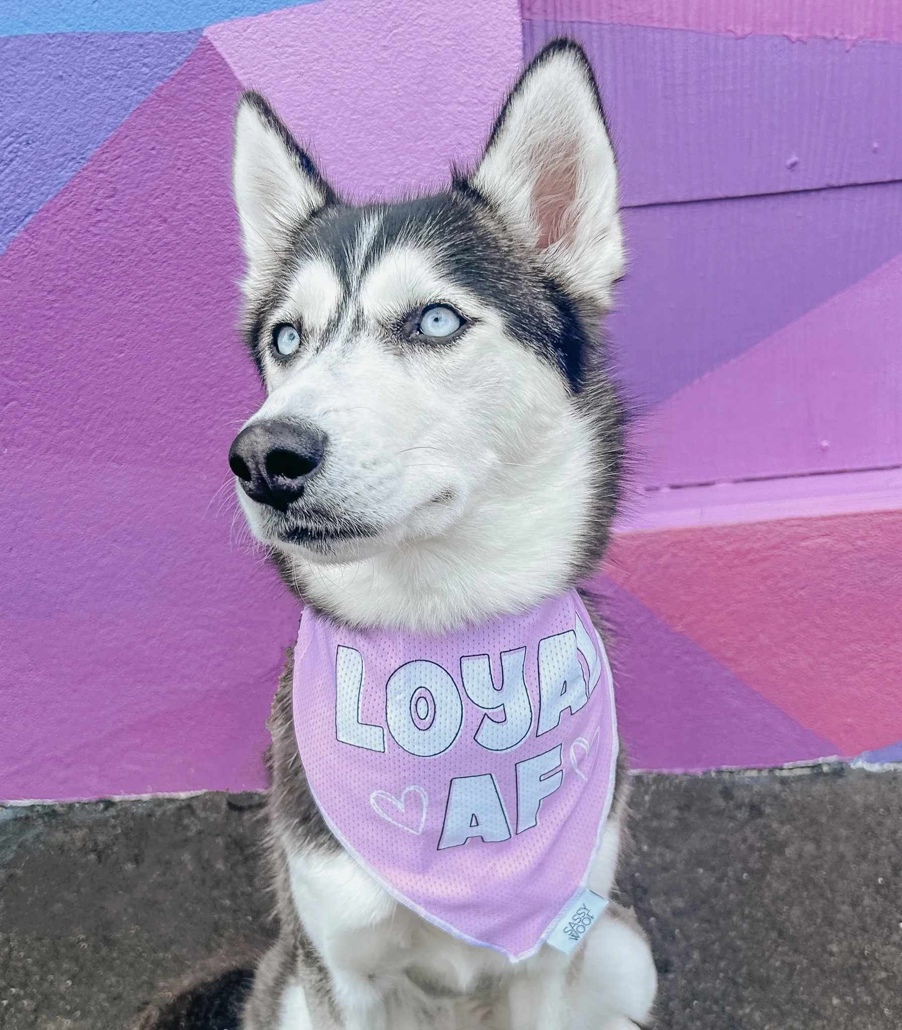 Dog Bandana - Loyal AF