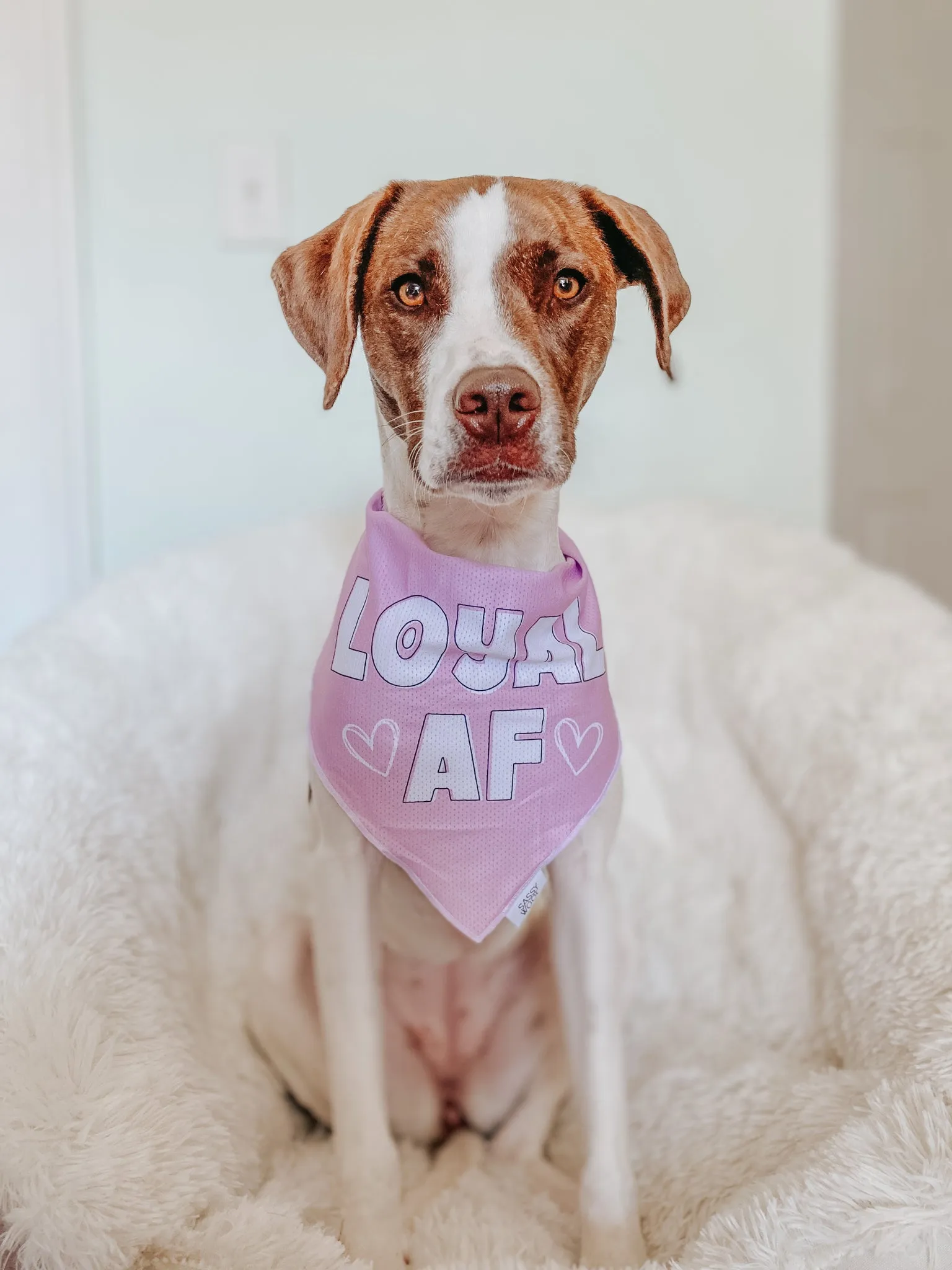 Dog Bandana - Loyal AF