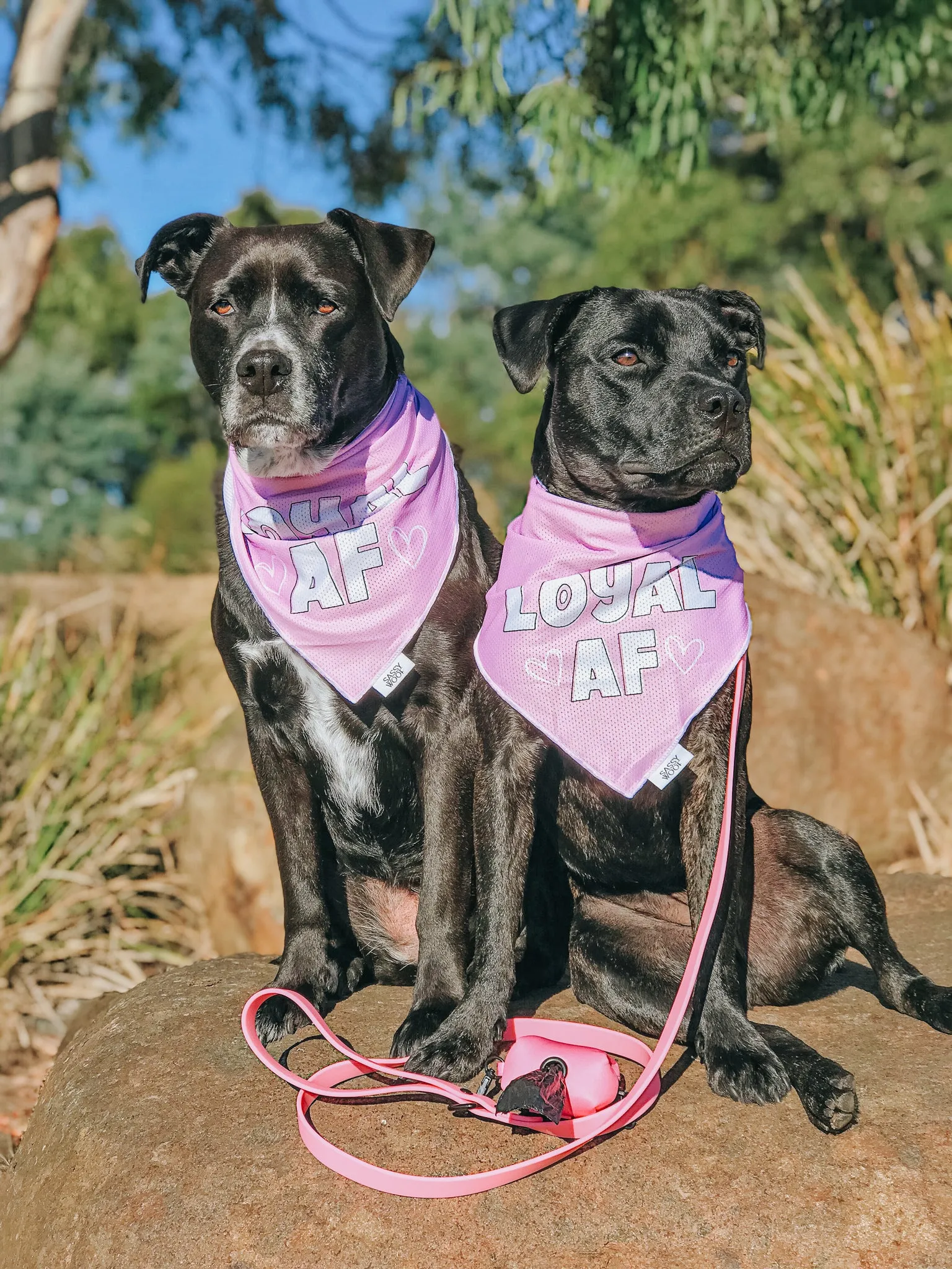 Dog Bandana - Loyal AF