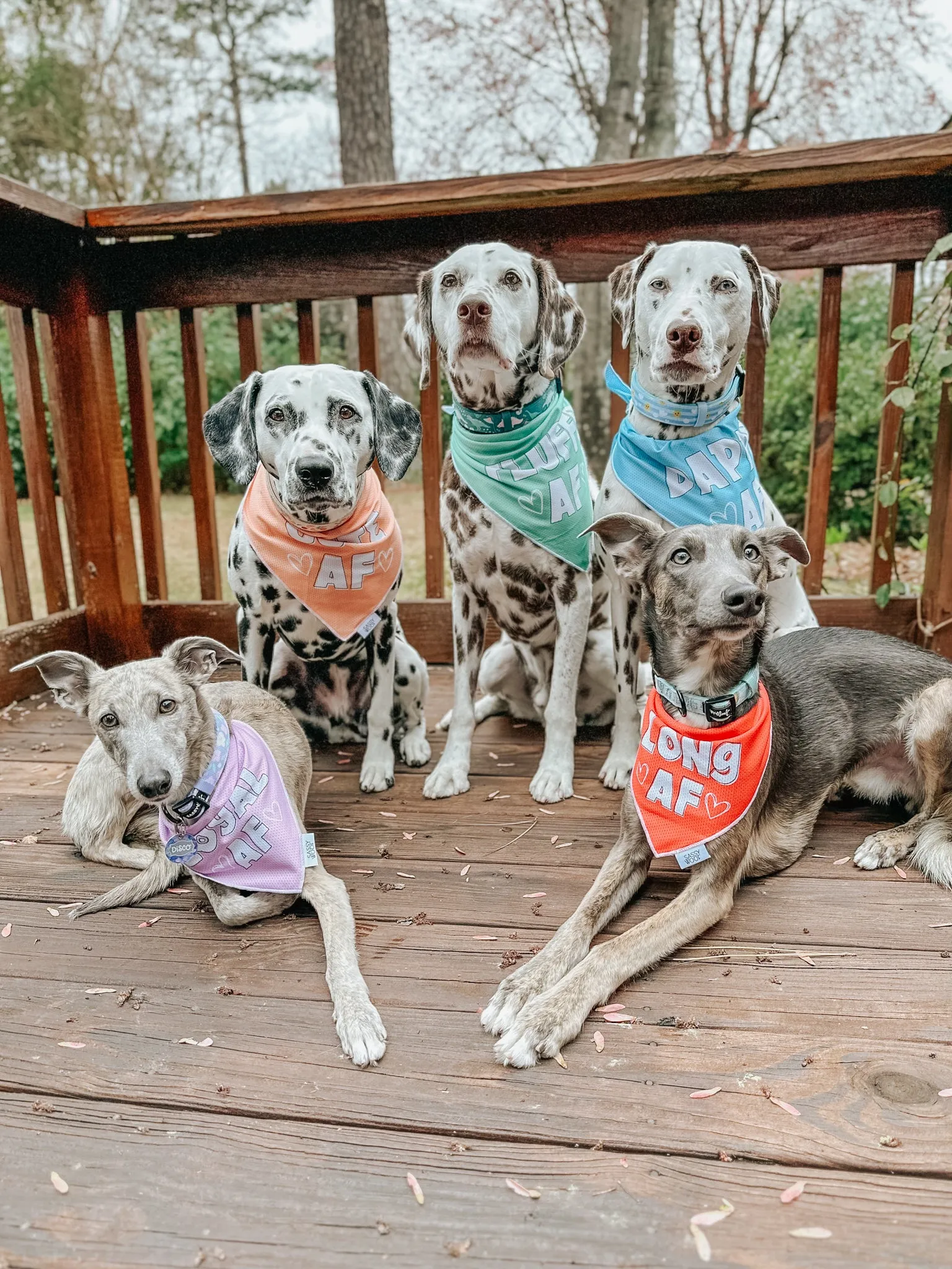 Dog Bandana - Loyal AF