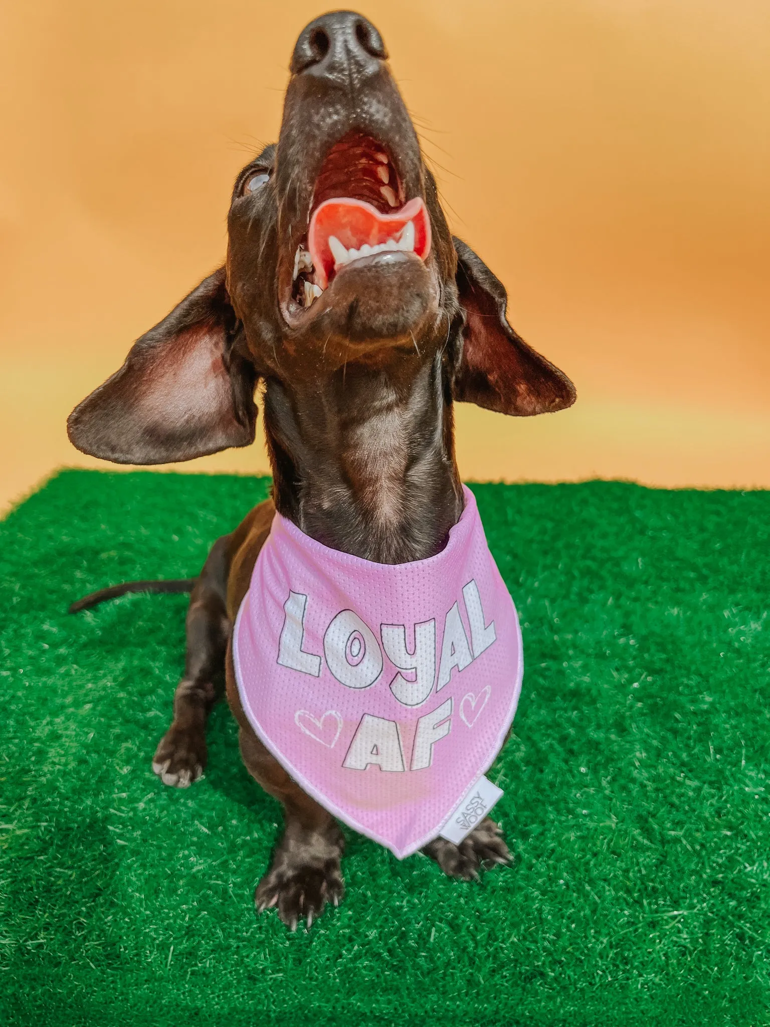 Dog Bandana - Loyal AF